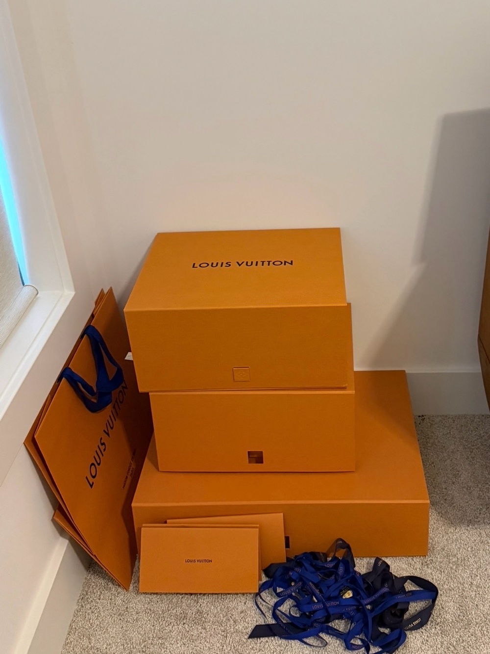 Louis Vuitton lot